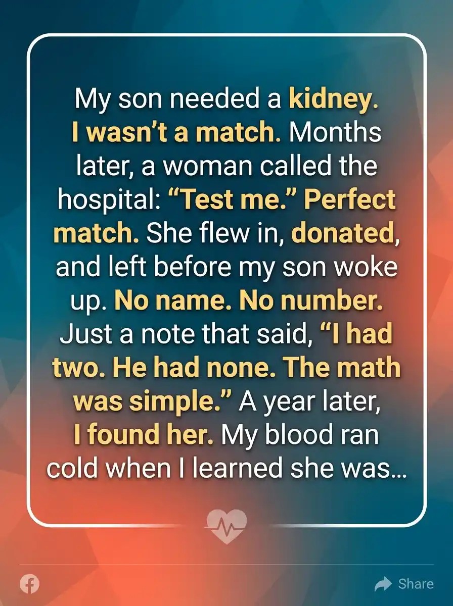 A Woman Donated Her Kidney to My Son… Then Disappeared Before He Could Say Thank You
