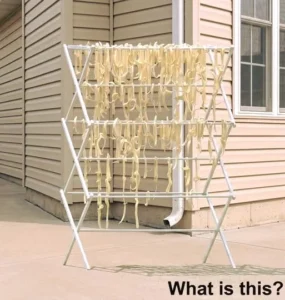 I Was Sure My Neighbor Was Hiding Something Until I Realized What Was Actually Hanging Outside
