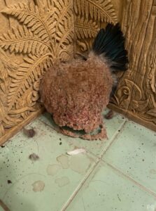 We Returned From Vacation and Discovered an Unexpected Surprise in Our Bathroom