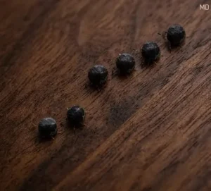 Those Blue Berries Growing in Your Garden Might Not Be Blueberries After All