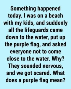 What Does the Purple Beach Flag Mean? The Hidden Ocean Warning Most Swimmers Ignore