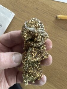 “Found this sticky gunk under a shelf inside my house. What is this?”