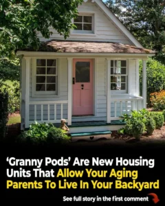 “Granny Pods” Now Allow Your Aging Parents to Live in Your Backyard