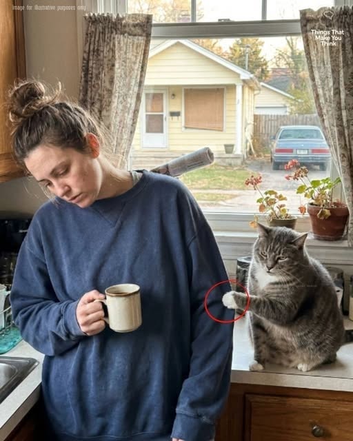 The Cat Who…