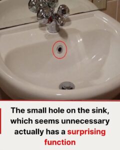 The Secret Life of Your Sink: Why That Little Hole is a Bathroom Hero
