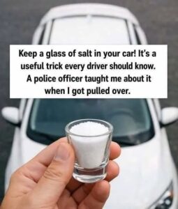 The Secret to a Fog-Free Car: How a Simple Cup of Salt Can Banish Windshield Moisturz