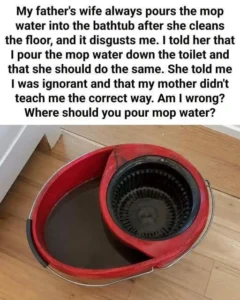 Where to Dispose of Dirty Mop Water: Toilet or Bathtub?