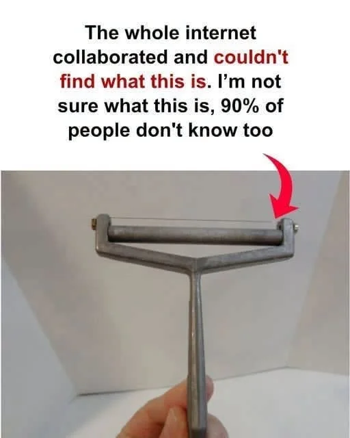 I don’t know what this is!
