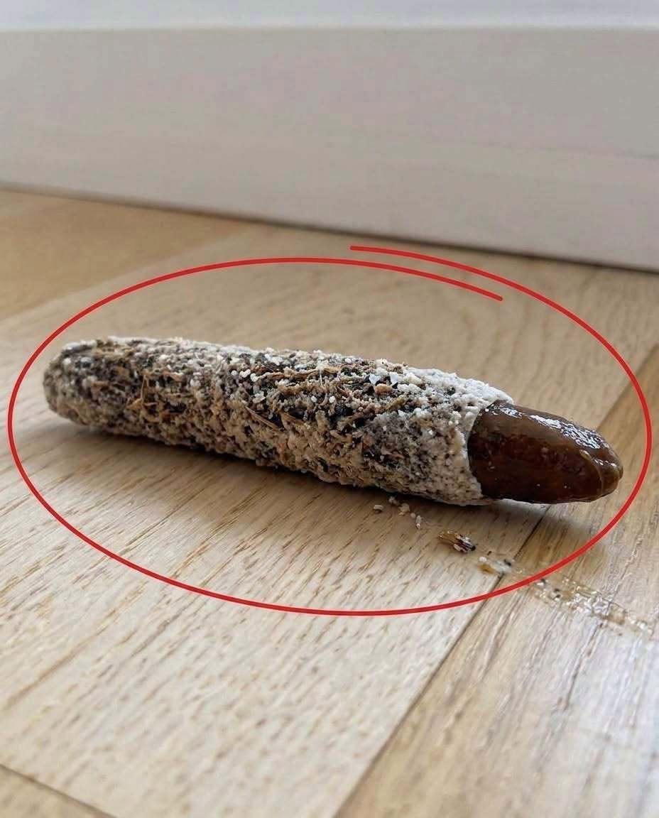 I Found a Strange Little Object on My Floor—Then I Discovered What It Really Was