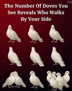 The Number of Doves You See May Reveal Who Secretly Walks Beside You
