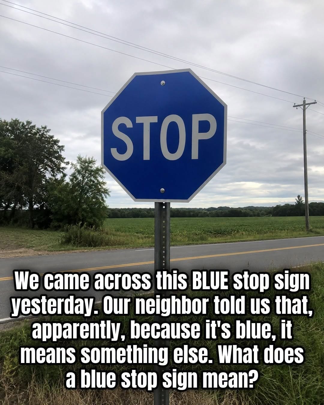 The Meaning Behind a Blue Stop Sign