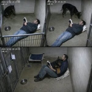 “Everyone Gave Up On Bruno… Until One Man Sat On The Floor And Changed His Life Forever”
