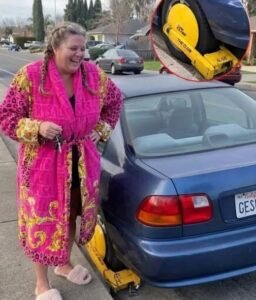 The Great Neighborhood Parking War: How a Cardboard Honda Brought Us Together