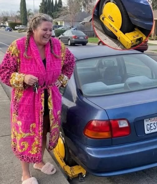 The Great Neighborhood Parking War: How a Cardboard Honda Brought Us Together