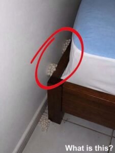 I Came Home After…